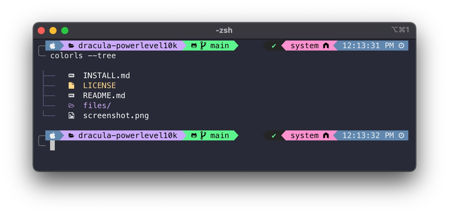 zsh terminal